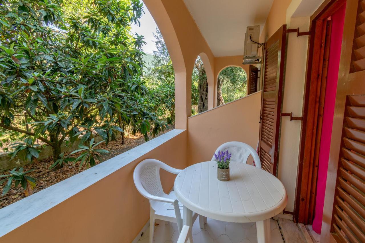 Olive Apartment
