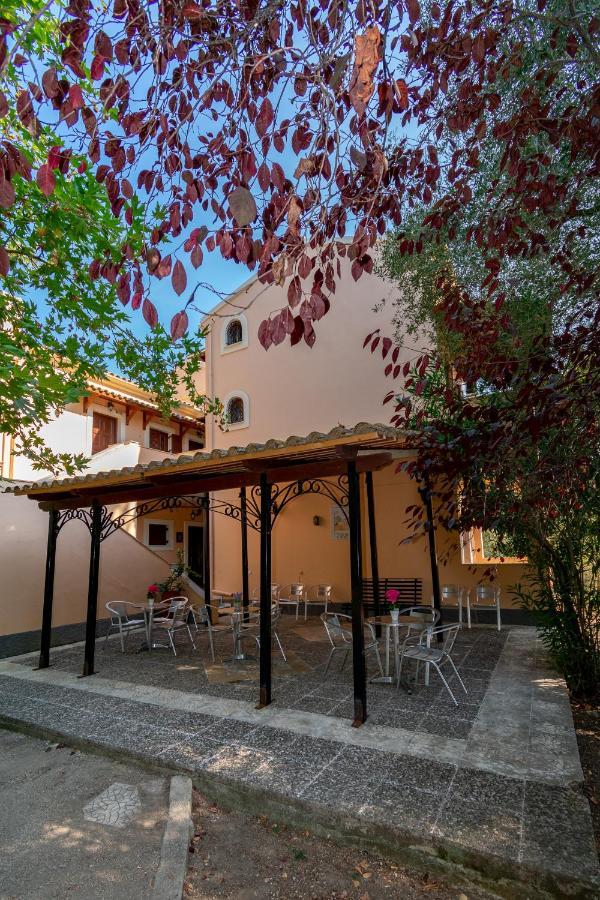 Olive Apartment