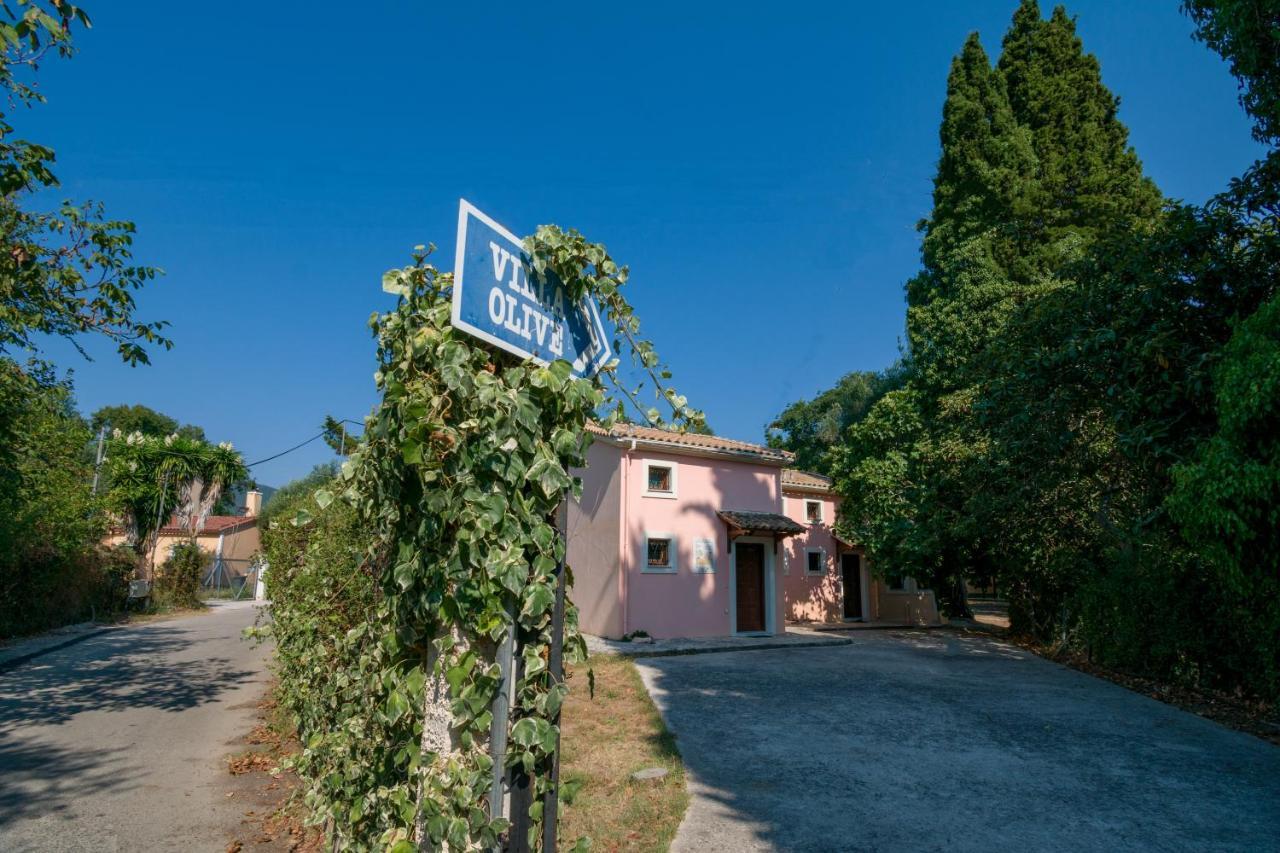 Olive Apartament *